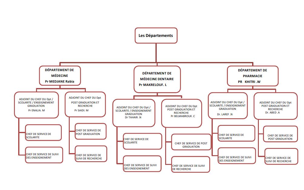 OrganigrammeFaculté Département